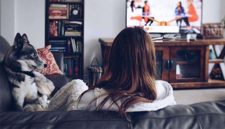 Hund, der mit seinem Besitzer auf einer Couch ruht