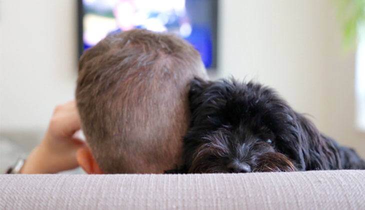 Hund, der mit seinem Besitzer auf einer Couch schläft