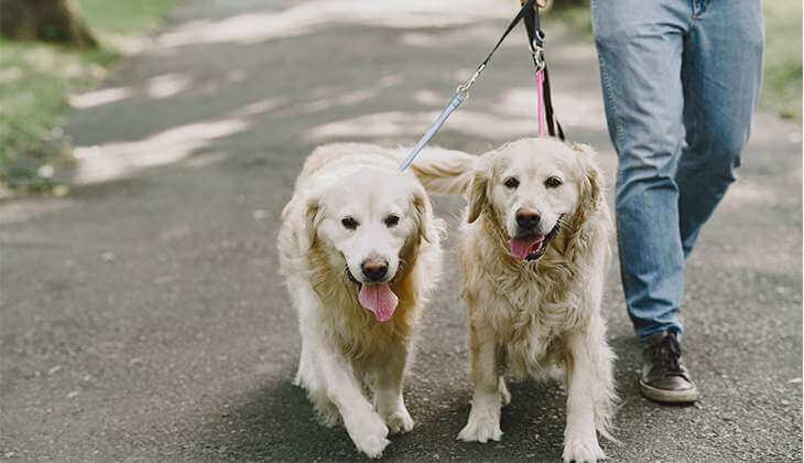 Schnüffeln vorbeugen