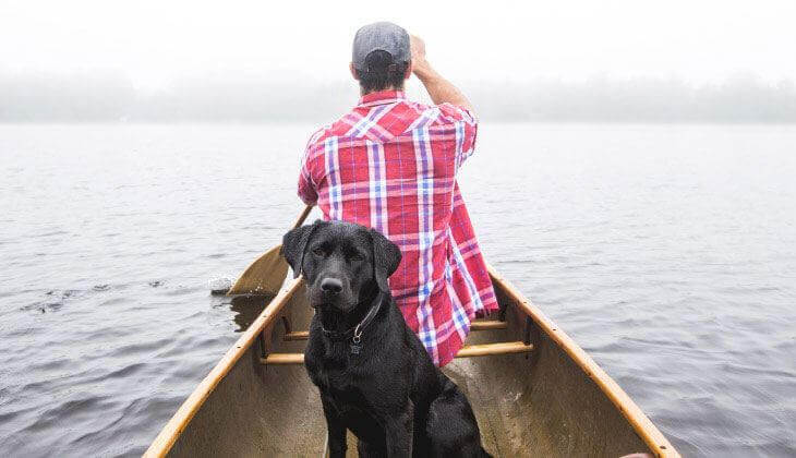 Ein Mann paddelt mit einem Kanu auf einem nebligen See, und ein schwarzer Hund sitzt ruhig am Bug.
