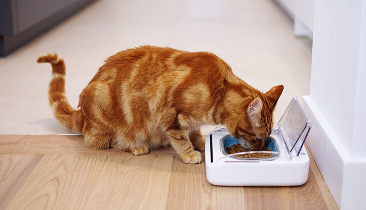 Andere Dinge, die es zu beachten gilt