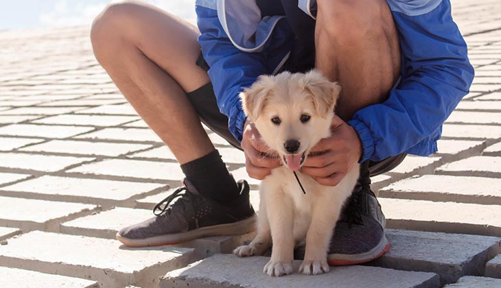 Chiot avec son propriétaire.