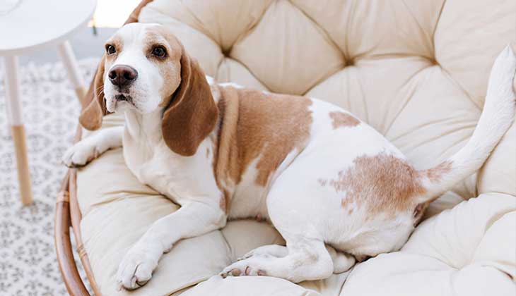 Voici quelques autres éléments à considérer