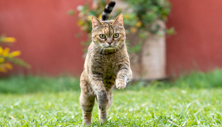 Sie vielleicht überraschen werden.